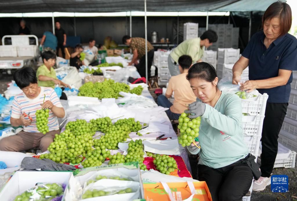 多宝游戏盒官网